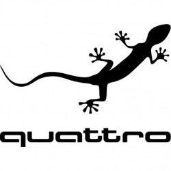 Audi Quattro Audi Quattro