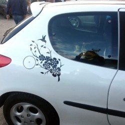 Цветя и колибри