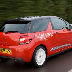 Цветя и пеперуди