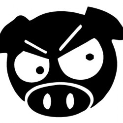 JDM Pig JDM Pig