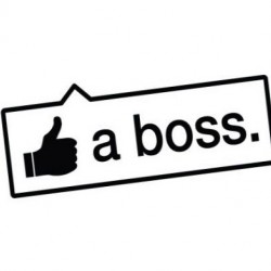 Like A Boss! Like A Boss!
