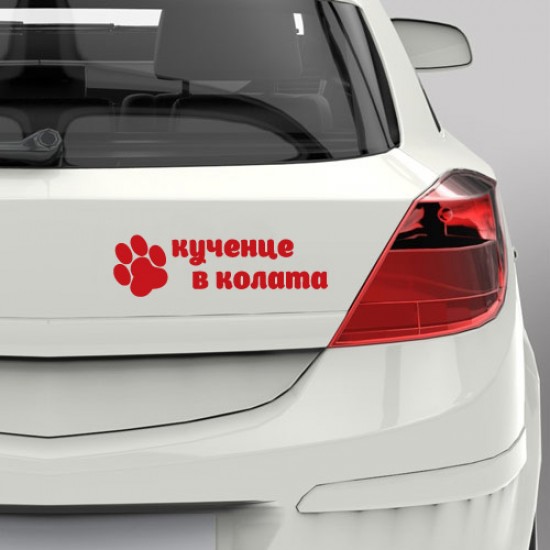 Кученце в колата