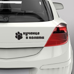 Кученце в колата Кученце в колата