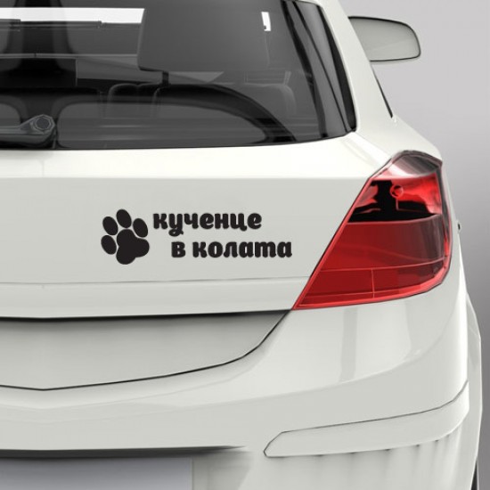 Кученце в колата